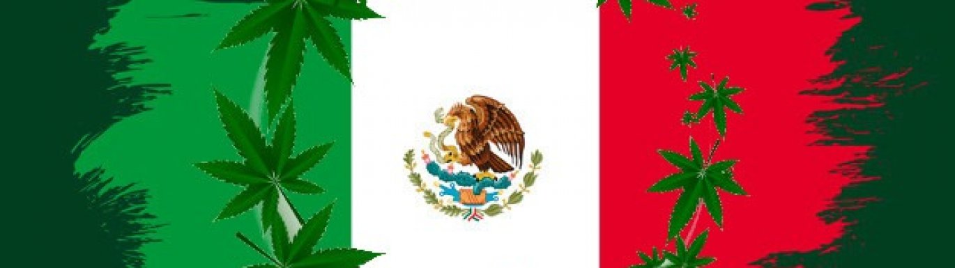 First step towards the legalization of marijuana in Mexico