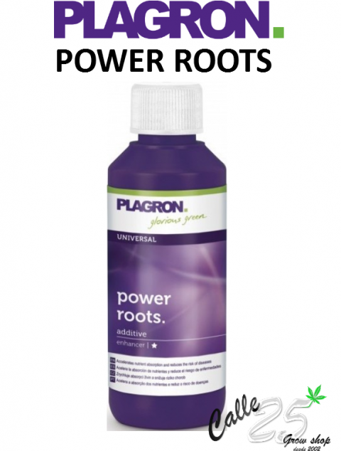 POWER ROOTS