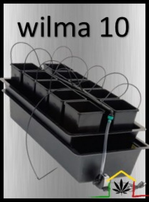 WILMA 10 - Sistema hidropónico