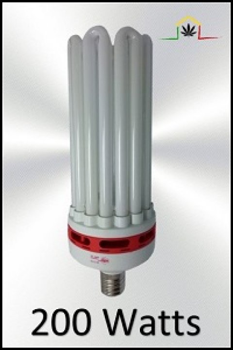 200W CFL BULB - GROW LIGHT - FLOWERING LAMP