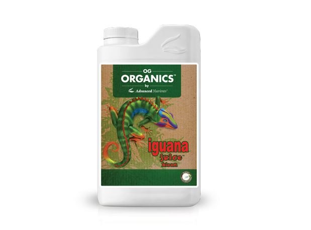 Iguana Bloom Organic Oim
