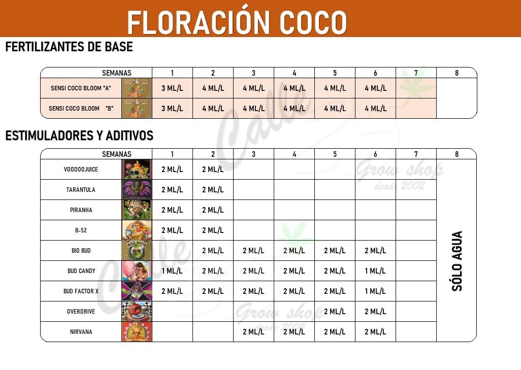 tabla floracion advande coco