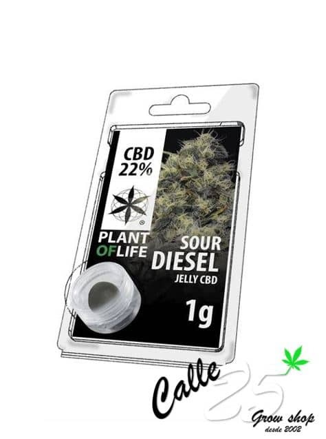 Hash Jelly CBD Sour Diesel