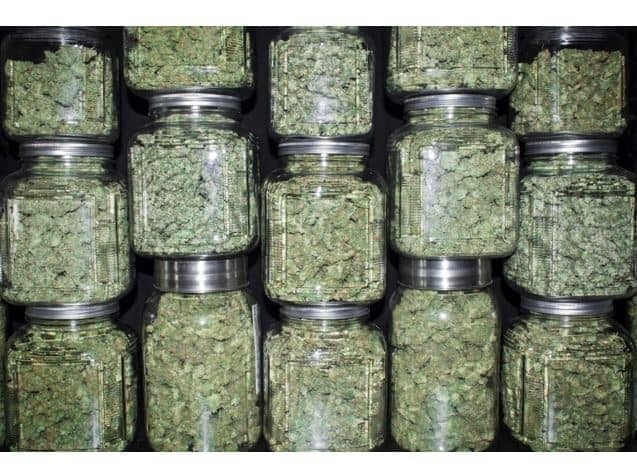 Cannabis in glass jars