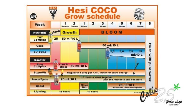 Feeding schedule hesi coco