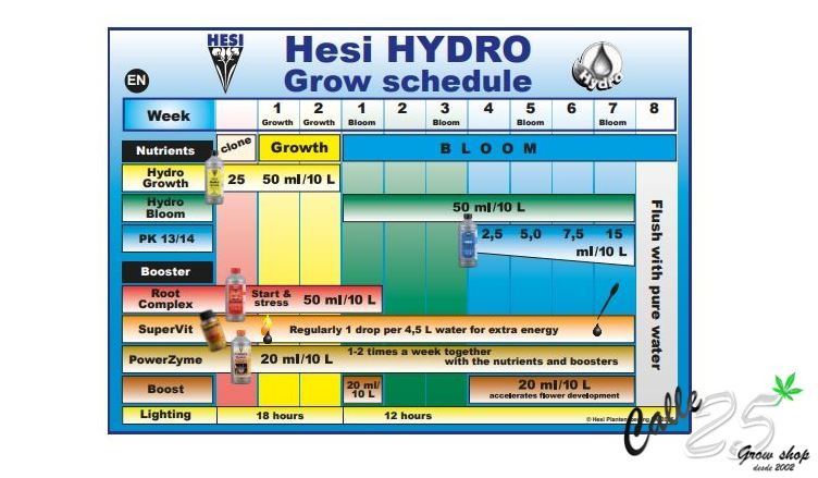 feeding schedule hydro