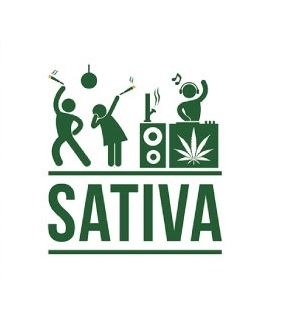Sativa effect
