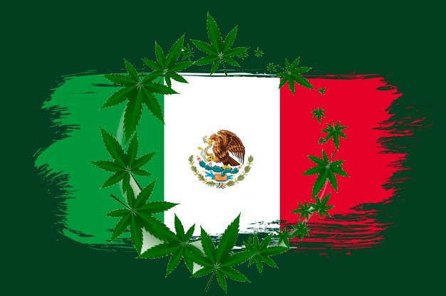 Legalización marihuana en México