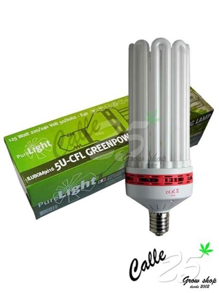 Low consumption bulb CFL Growth Pure Light